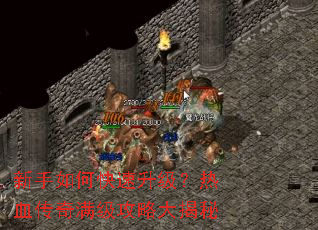 新手如何快速升级?热血传奇满级攻略大揭秘 新手如何快速升级?热血传奇满级攻略大揭秘