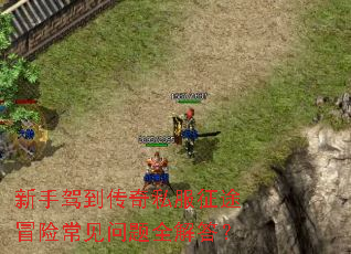 新手驾到传奇私服征途冒险常见问题全解答? 新手驾到传奇私服征途冒险常见问题全解答?