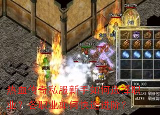 ��Ѫ����˽���������ѡ��ְҵ����ְҵ��ο��ٽ��ף�