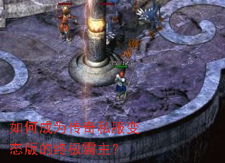 ��γ�Ϊ����˽����̬����ռ�������