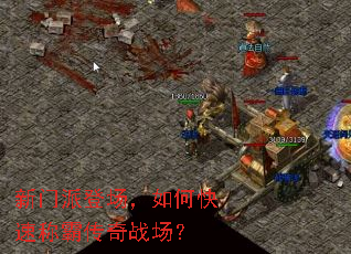 �����ɵǳ�����ο��ٳưԴ���ս����