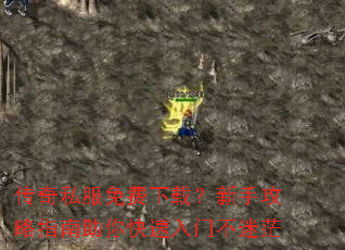 ����˽��������أ����ֹ���ָ������������Ų���ã