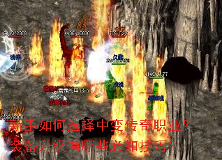 �������ѡ���б䴫��ְҵ��װ����������Щ��֪���ɣ�