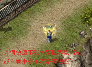 如何快速下载传奇世界微端私服?新手必备攻略有哪些? 如何快速下载传奇世界微端私服?新手必备攻略有哪些?