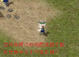 ��ʦ���������似�ܲ����ڴ��������ڲ���֮�أ�