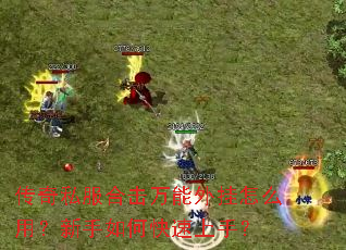 ����˽���ϻ����������ô�ã�������ο������֣�