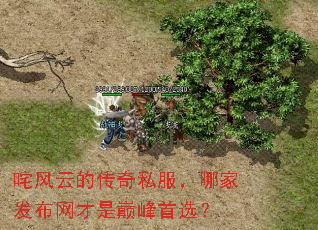 ����ƵĴ���˽�����ļҷ����������۷���ѡ��