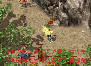 ������ο������������Ѫ����˽�����ݺ��귨��½�ر���������Щ��