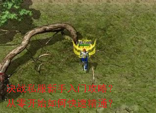 决战私服新手入门攻略?从零开始如何快速精通? 决战私服新手入门攻略?从零开始如何快速精通?