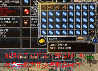 ������ֻ������˽���п�������ս����ʵ�ֲƸ����ɣ�