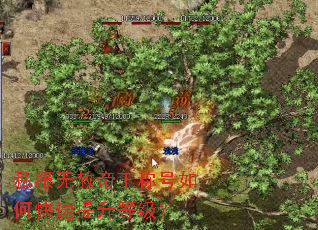 ˽����������ƺ���ο��������ȼ���