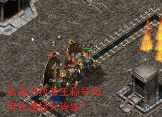 ˽����������ƺ���ο��������ȼ���