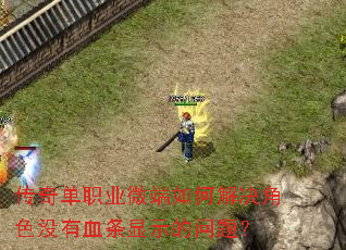 传奇单职业微端如何解决角色没有血条显示的问题? 传奇单职业微端如何解决角色没有血条显示的问题?