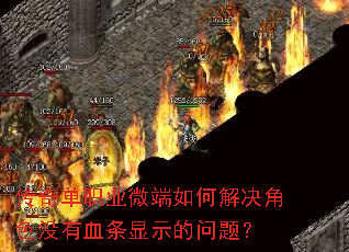 传奇单职业微端如何解决角色没有血条显示的问题? 传奇单职业微端如何解决角色没有血条显示的问题?