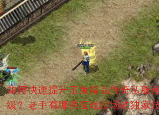 如何快速提升玉兔精品传奇私服角色等级?老手有哪些征战沙场的独家技巧? 如何快速提升玉兔精品传奇私服角色等级?老手有哪些征战沙场的独家技巧?