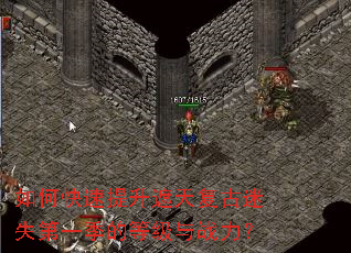 ��ο����������츴����ʧ��һ���ĵȼ���ս����