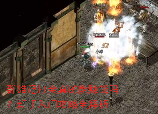 Ⱥ�ۼǴ�������׬Ǯ���������Ź���ȫ����