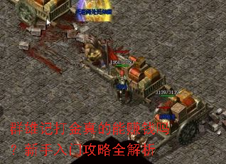 Ⱥ�ۼǴ�������׬Ǯ���������Ź���ȫ����