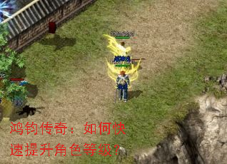 ������棺��ο���������ɫ�ȼ���