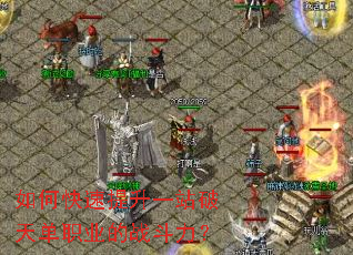 ��ο�������һվ���쵥ְҵ��ս������