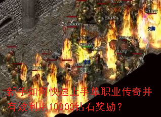 ������ο������ֵ�ְҵ���沢��Ч����10000��ʯ������