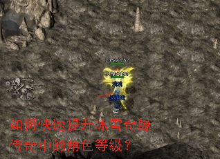 ��ο���������ѩ��Ե�����еĽ�ɫ�ȼ���