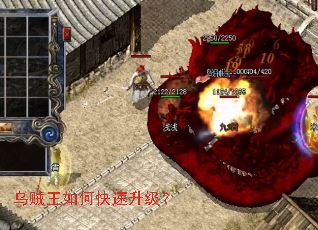 ��������ο���������