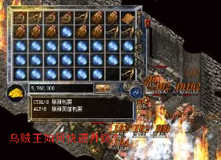 ��������ο���������