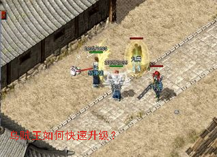 ��������ο���������