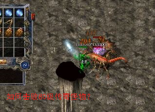 ��λ���80��������