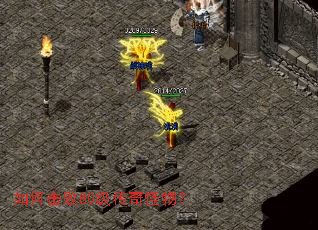 ��λ���80��������