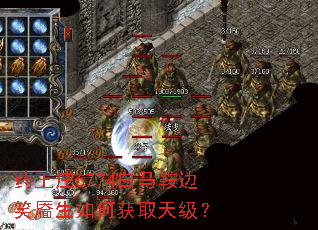 药王庄6774白马鞍边笑靥生如何获取天级? 药王庄6774白马鞍边笑靥生如何获取天级?