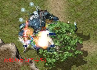 ����������λ�ã�