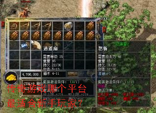 ������Ϸ�ĸ�ƽ̨���ʺ�������ң�