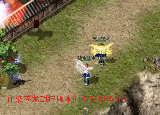 ѪȾ������Ұ汾���ʵ�ֶ࿪��