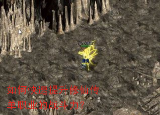 ��ο����������ɴ���ְҵ��ս������