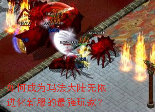 ��γ�Ϊ�귨��½���޽����·�����ǿ��ң�