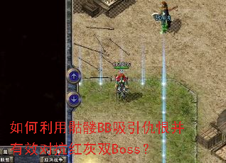 �����������BB������޲���Ч�Կ����˫Boss��