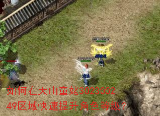 如何在天山童姥302300249区域快速提升角色等级? 如何在天山童姥302300249区域快速提升角色等级?