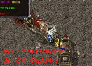 甄子丹如何单挑屠龙教主?必备秘籍大揭秘 甄子丹如何单挑屠龙教主?必备秘籍大揭秘