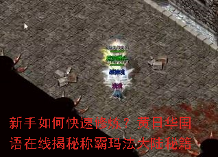 新手如何快速修炼?黄日华国语在线揭秘称霸玛法大陆秘籍 新手如何快速修炼?黄日华国语在线揭秘称霸玛法大陆秘籍