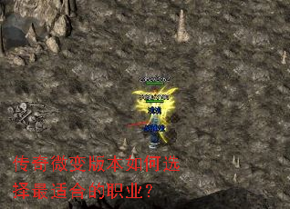 ����΢��汾���ѡ�����ʺϵ�ְҵ��