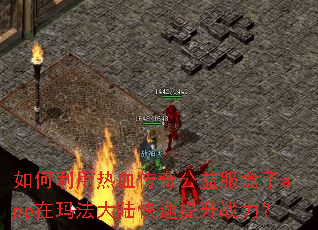 如何利用热血传奇公益服盒子app在玛法大陆快速提升战力? 如何利用热血传奇公益服盒子app在玛法大陆快速提升战力?