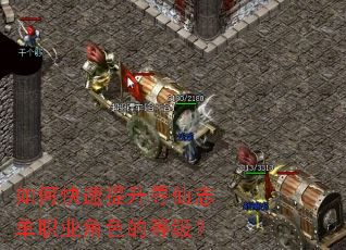 ��ο�������Ѱ��־��ְҵ��ɫ�ĵȼ���