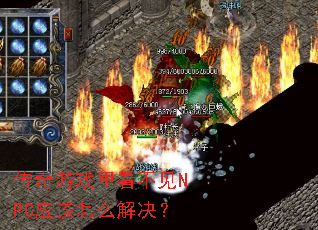 ������Ϸ�￴����NPCӦ����ô�����