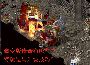 微变版传奇有哪些独特玩法与升级技巧? 微变版传奇有哪些独特玩法与升级技巧?