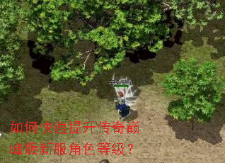 如何快速提升传奇巅峰版新服角色等级? 如何快速提升传奇巅峰版新服角色等级?