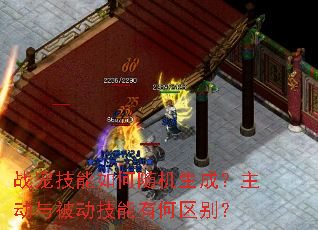 战宠技能如何随机生成?主动与被动技能有何区别? 战宠技能如何随机生成?主动与被动技能有何区别?