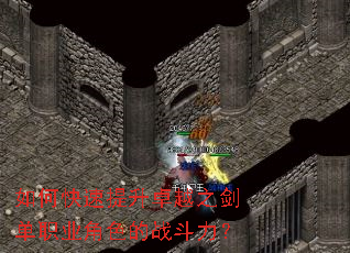 ��ο�������׿Խ֮����ְҵ��ɫ��ս������