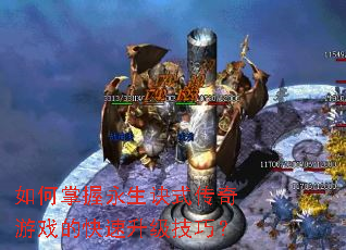 �������������ʽ������Ϸ�Ŀ����������ɣ�